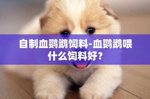 自制血鸚鵡飼料-血鸚鵡喂什么飼料好？