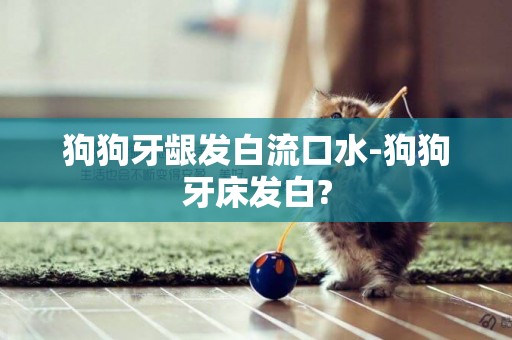 狗狗牙齦發白流口水-狗狗牙床發白?