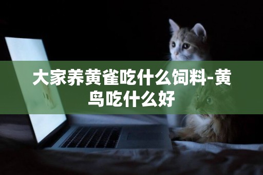 大家養黃雀吃什么飼料-黃鳥吃什么好