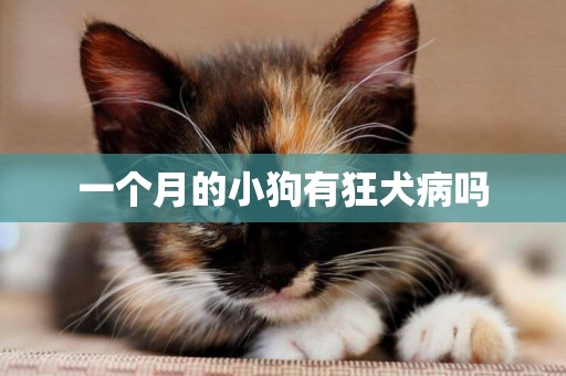 一個月的小狗有狂犬病嗎