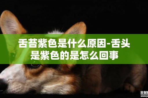 舌苔紫色是什么原因-舌頭是紫色的是怎么回事