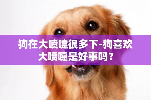 狗在大噴嚏很多下-狗喜歡大噴嚏是好事嗎？