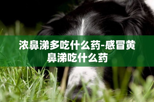 濃鼻涕多吃什么藥-感冒黃鼻涕吃什么藥