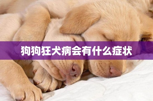 狗狗狂犬病會有什么癥狀