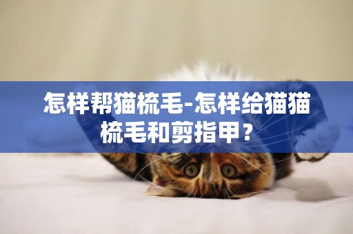 怎樣幫貓梳毛-怎樣給貓貓梳毛和剪指甲？