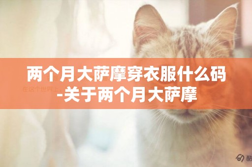 兩個月大薩摩穿衣服什么碼-關于兩個月大薩摩