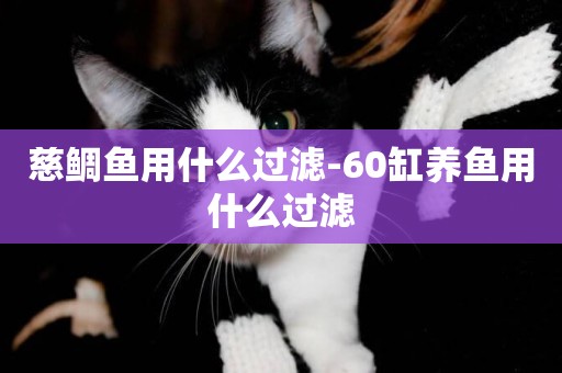 慈鯛魚用什么過濾-60缸養魚用什么過濾