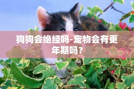 狗狗會絕經嗎-寵物會有更年期嗎？