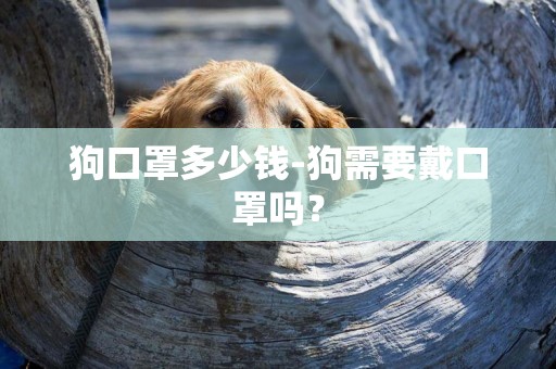 狗口罩多少錢-狗需要戴口罩嗎？