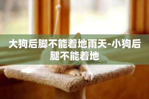 大狗后腳不能著地雨天-小狗后腿不能著地