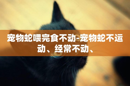 寵物蛇喂完食不動-寵物蛇不運動、經常不動、