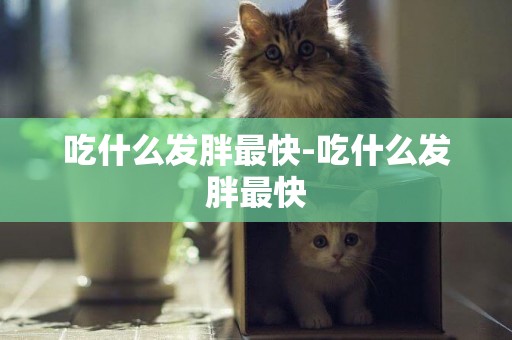 吃什么發胖最快-吃什么發胖最快