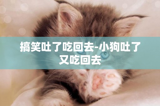 搞笑吐了吃回去-小狗吐了又吃回去