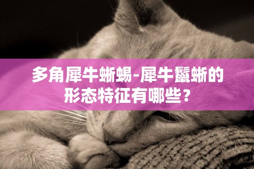 多角犀牛蜥蜴-犀牛鬣蜥的形態特征有哪些？