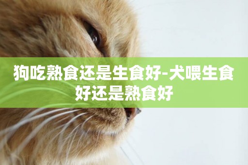 狗吃熟食還是生食好-犬喂生食好還是熟食好