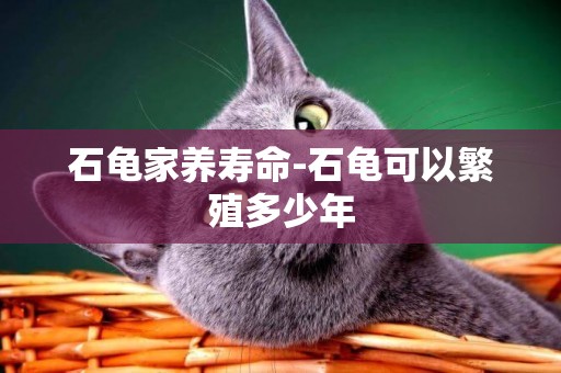 石龜家養壽命-石龜可以繁殖多少年
