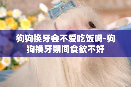 狗狗換牙會不愛吃飯嗎-狗狗換牙期間食欲不好