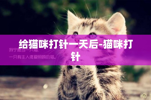 給貓咪打針一天后-貓咪打針