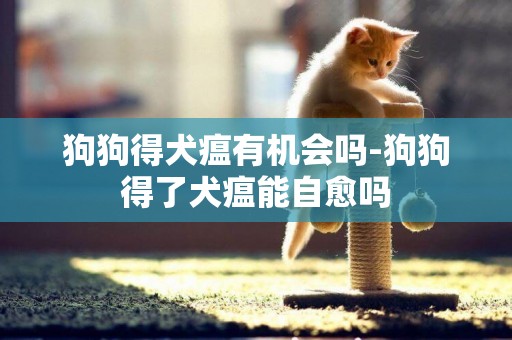 狗狗得犬瘟有機會嗎-狗狗得了犬瘟能自愈嗎