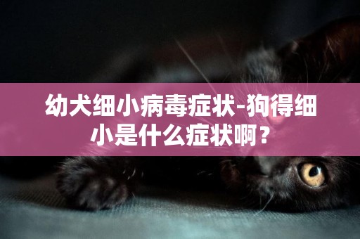 幼犬細小病毒癥狀-狗得細小是什么癥狀啊？