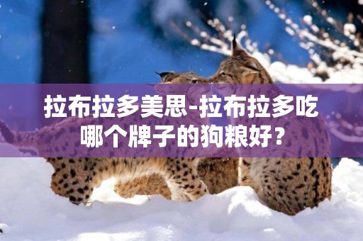 拉布拉多美思-拉布拉多吃哪個牌子的狗糧好？