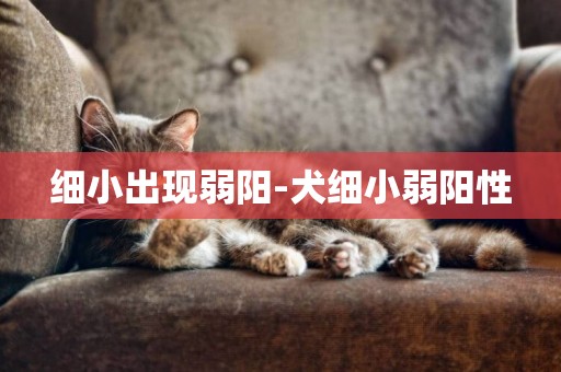 細小出現弱陽-犬細小弱陽性