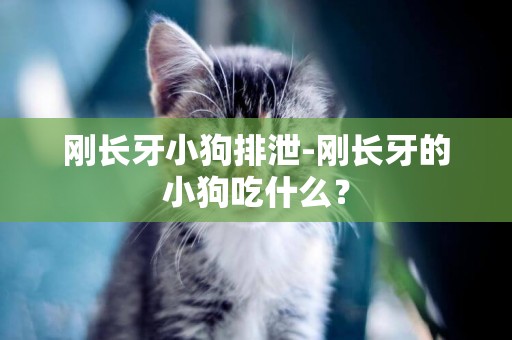 剛長牙小狗排泄-剛長牙的小狗吃什么？