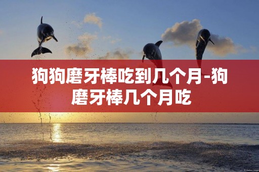 狗狗磨牙棒吃到幾個月-狗 磨牙棒幾個月吃