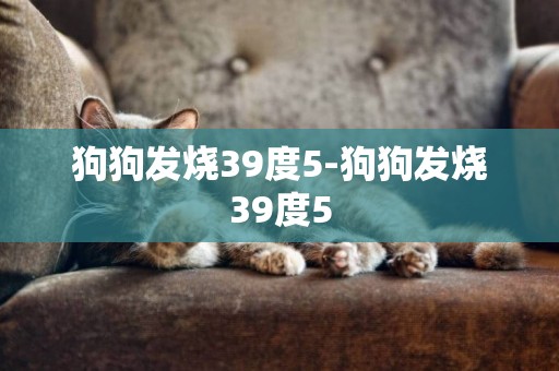 狗狗發燒39度5-狗狗發燒39度5