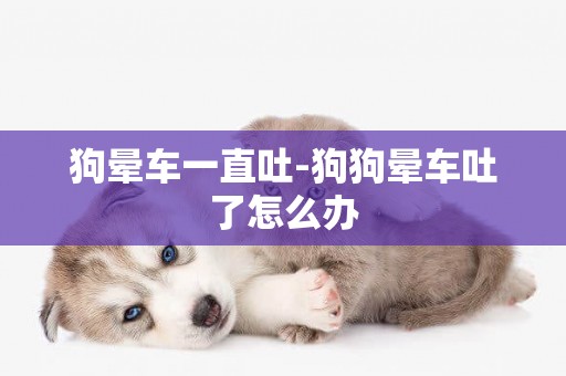 狗暈車一直吐-狗狗暈車吐了怎么辦