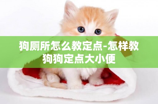 狗廁所怎么教定點-怎樣教狗狗定點大小便