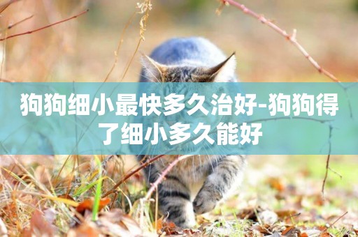 狗狗細小最快多久治好-狗狗得了細小多久能好
