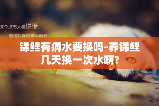 錦鯉有病水要換嗎-養錦鯉幾天換一次水啊?