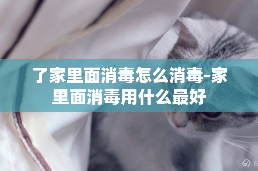 了家里面消毒怎么消毒-家里面消毒用什么最好