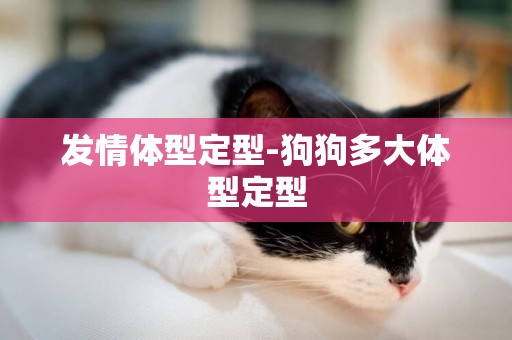 發情體型定型-狗狗多大體型定型
