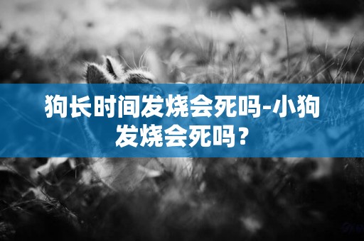 狗長時間發燒會死嗎-小狗發燒會死嗎？