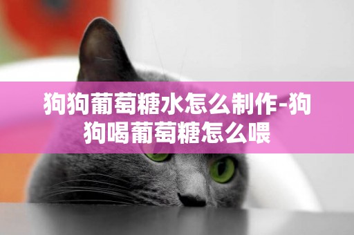狗狗葡萄糖水怎么制作-狗狗喝葡萄糖怎么喂
