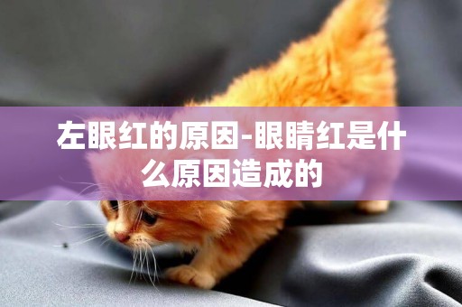 左眼紅的原因-眼睛紅是什么原因造成的