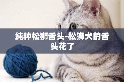 純種松獅舌頭-松獅犬的舌頭花了