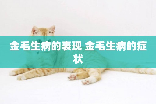 金毛生病的表現 金毛生病的癥狀