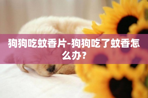 狗狗吃蚊香片-狗狗吃了蚊香怎么辦？