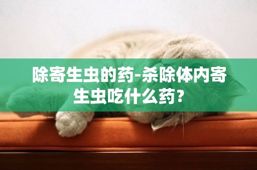 除寄生蟲的藥-殺除體內寄生蟲吃什么藥？