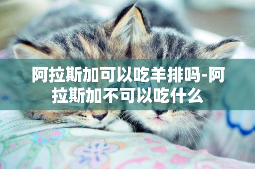 阿拉斯加可以吃羊排嗎-阿拉斯加不可以吃什么