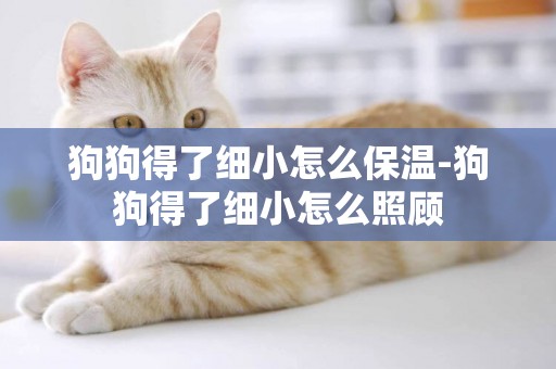 狗狗得了細小怎么保溫-狗狗得了細小怎么照顧