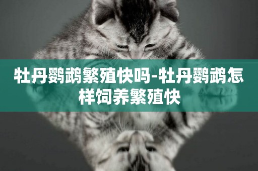 牡丹鸚鵡繁殖快嗎-牡丹鸚鵡怎樣飼養繁殖快
