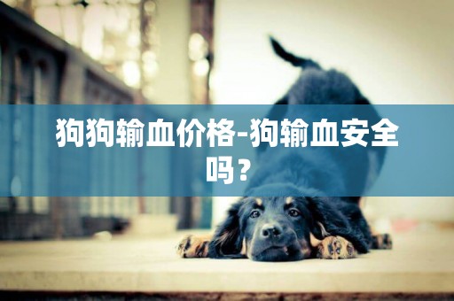 狗狗輸血價格-狗輸血安全嗎？