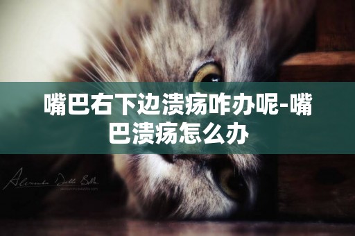 嘴巴右下邊潰瘍咋辦呢-嘴巴潰瘍怎么辦