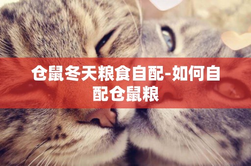 倉鼠冬天糧食自配-如何自配倉鼠糧
