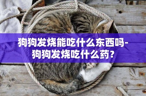 狗狗發燒能吃什么東西嗎-狗狗發燒吃什么藥？