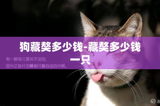 狗藏獒多少錢-藏獒多少錢一只